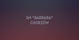 Referencja 3