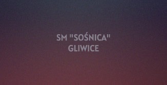 Referencja 3