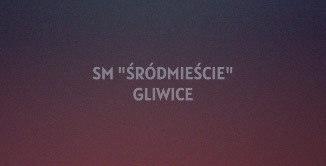Referencja 3