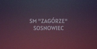 Referencja 2